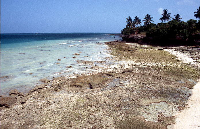 Sudafrika bis Tansania 1995-03-088.jpg